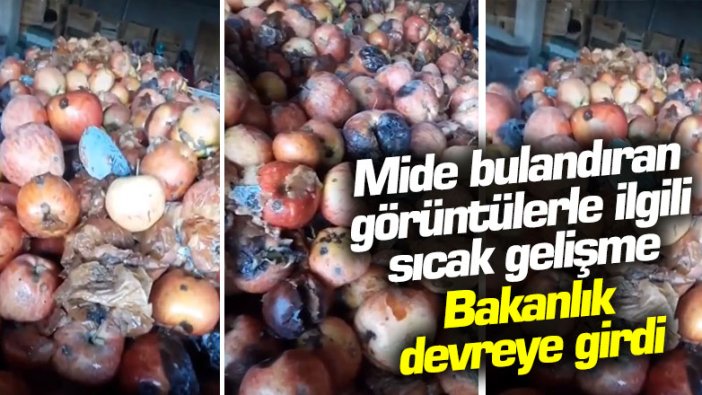 Çürük elma skandalı ile ilgili Tarım ve Orman Bakanlığı'ndan açıklama