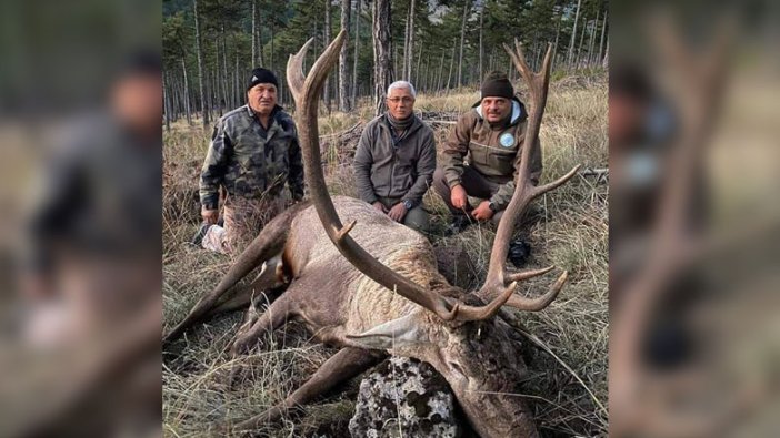 MHP'li eski Başkan Mehmet Kula, nesli tükenmekte olan geyiği vurdu