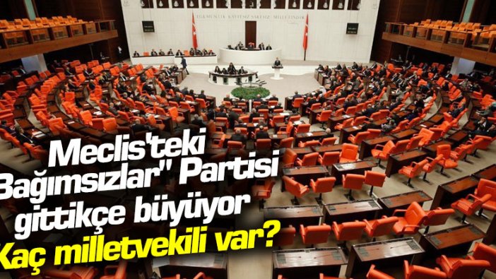 TBMM'de kaç bağımsız milletvekili var?