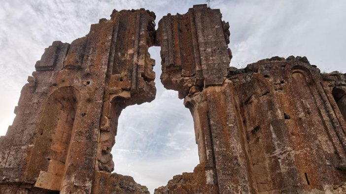 Defineciler zarar vermişti! Turizme kazandırılacak