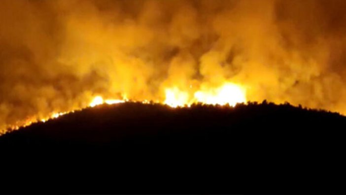 Hatay'da orman yangını