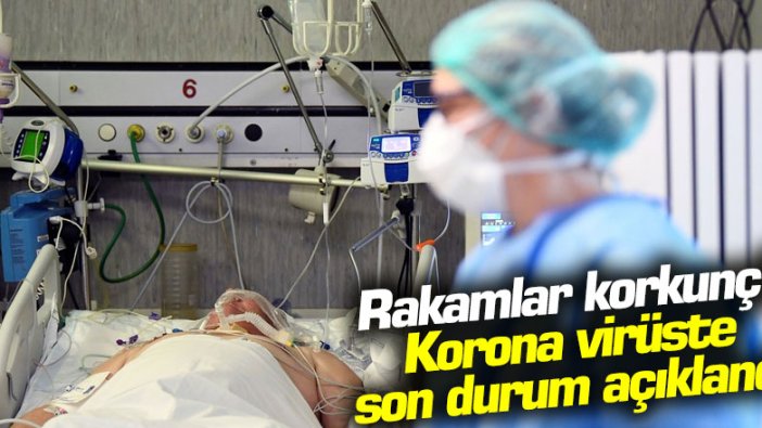 Korona virüste son durum açıklandı: 141 kişi hayatını kaybetti