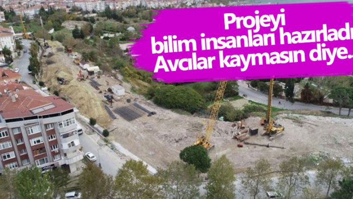 Projeyi bilim insanları hazırladı! Avcılar kaymasın diye...