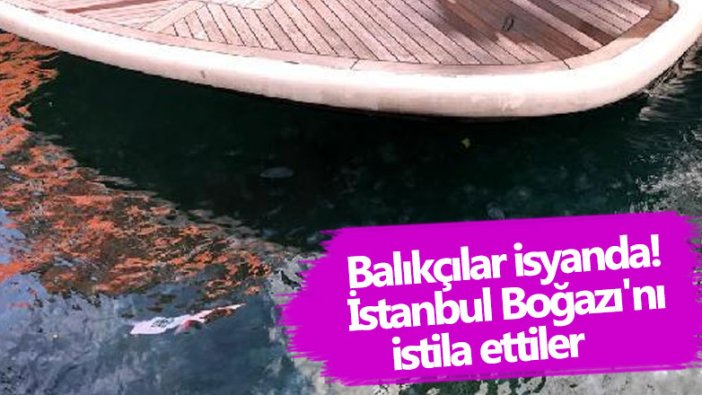 Balıkçılar isyanda! İstanbul Boğazı'nı istila ettiler