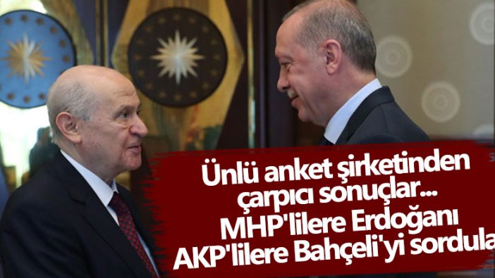 Metropoll anketinden çarpıcı sonuçlar... MHP'lilere Erdoğan'ı, AKP'lilere Bahçeli'yi sordular