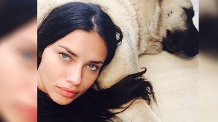 Kangal yetiştiricileri Adriana Lima'ya seslendi