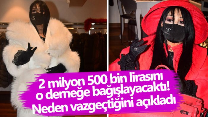 Bülent Ersoy Çağdaş Yaşamı Destekleme Derneği'ne bağıştan neden vazgeçti