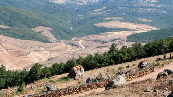 Her üç araziden biri insan eliyle tahrip ediliyor