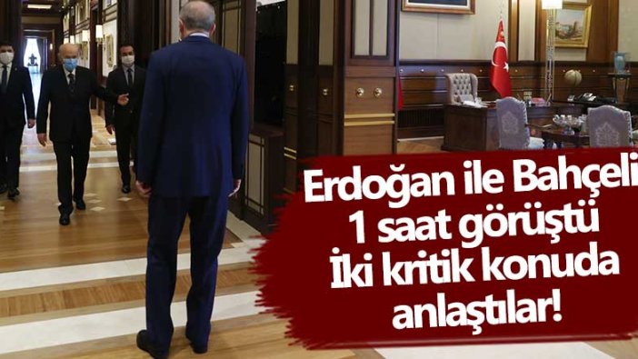 Erdoğan ile Bahçeli 1 saat görüştü! İki kritik konuda anlaştılar