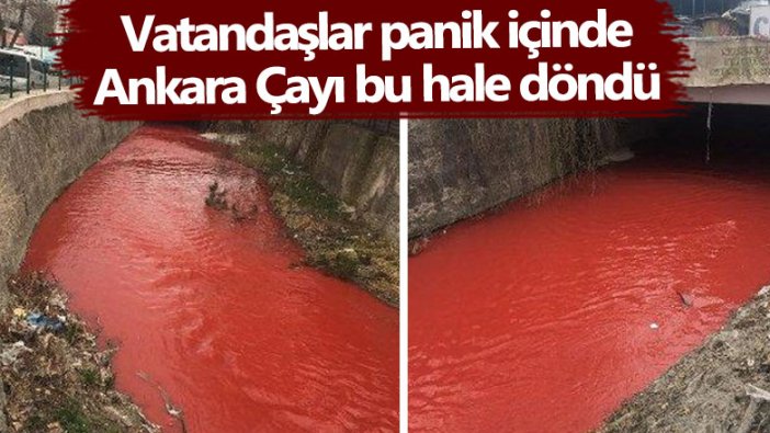 Vatandaşlar panik içinde! Ankara Çayı bu hale döndü