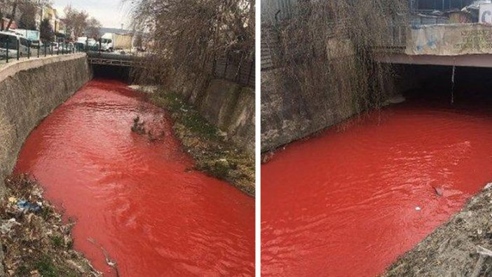 Vatandaşlar panik içinde! Ankara Çayı bu hale döndü