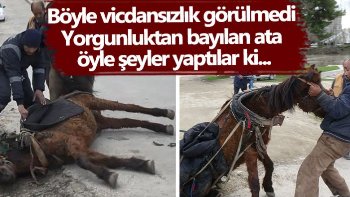 Edirne'de yorgunluktan bayılan ata öyle şeyler yaptılar ki...