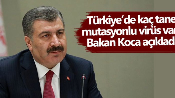 Türkiye’de kaç tane mutasyonlu virüs var? Bakan Fahrettin Koca açıkladı