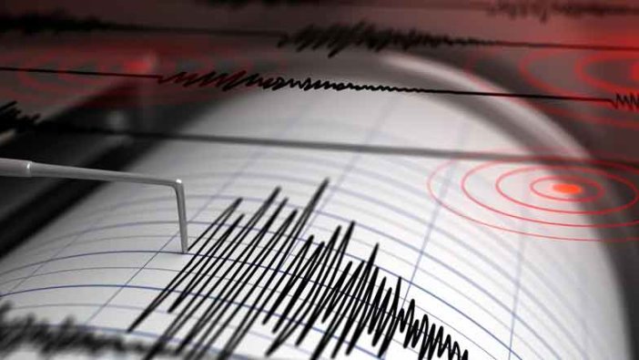 Japonya'daki depremde yaralı sayısı 100'ü geçti