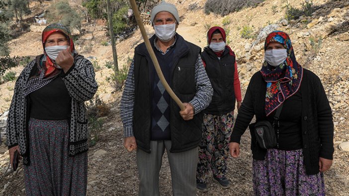 Ağaç katliamı siyasi partileri birleştirdi, köylüler nöbete başladı