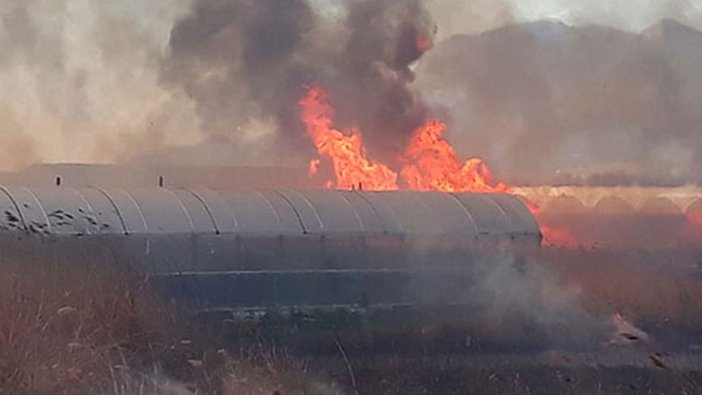 Antalya'da sazlık alanda yangın