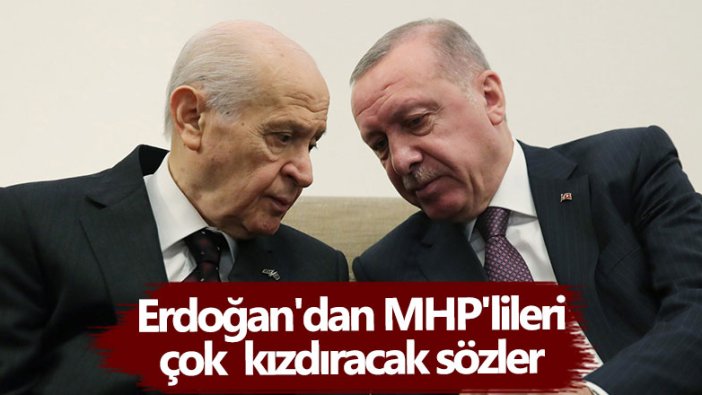 Cumhurbaşkanı Erdoğan'dan MHP'lileri kızdıracak sözler 