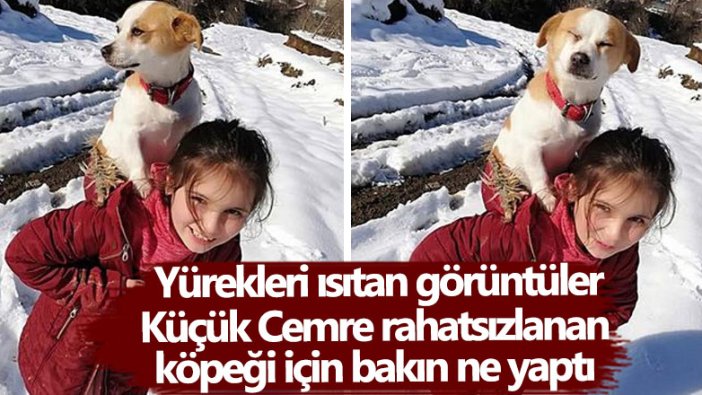 Ordu'da Cemre Su Türköz, rahatsızlanan köpeğini sırtında taşıyarak veterinere götürdü