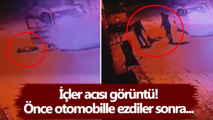 Konya'da 2 kişi sokak köpeğini önce ezdi sonra çöpe attılar!