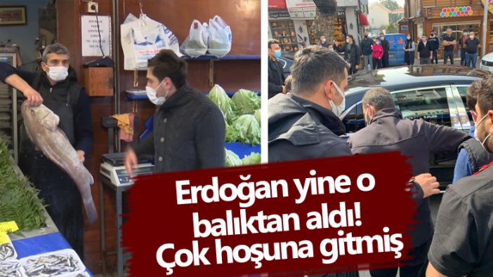 Cumhurbaşkanı Erdoğan yine o balıktan aldı! Çok hoşuna gitmiş 