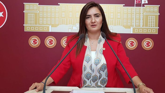 CHP'li Sevda Erdan Kılıç, özel bakımevindeki şiddeti Meclis gündemine taşıdı