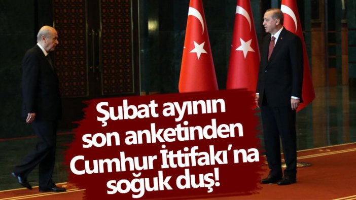 AREA Araştırma Şubat ayı anketini açıkladı! Cumhur İttifakı'na soğuk duş 