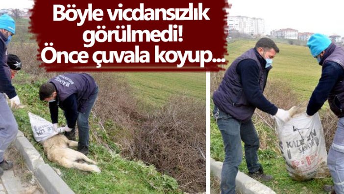 Tekirdağ'da insanlık dışı eziyet! Önce çuvala koyup...