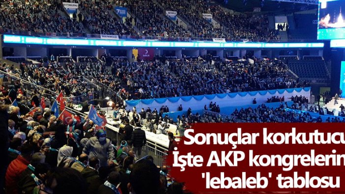 Ergün Demir, AKP kongrelerinin lebaleb tablosunu çıkardı