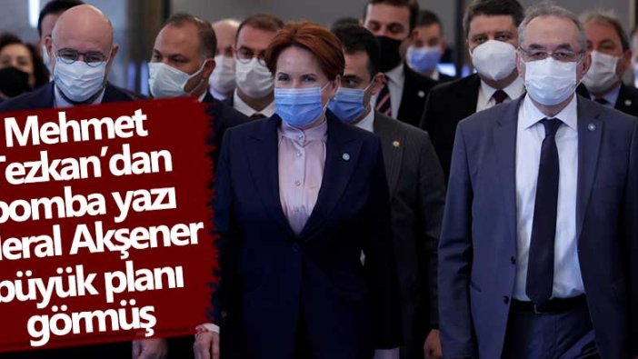 Mehmet Tezkan'dan bomba yazı: Meral Akşener büyük planı görmüş