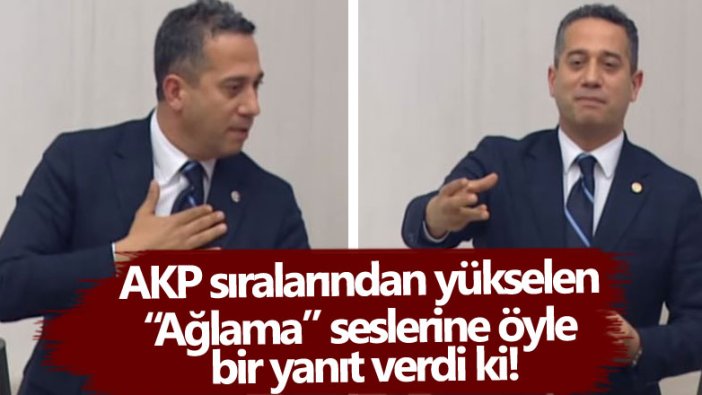 CHP'li Ali Mahir Başarır AKP sıralarından yükselen 'Ağlama' seslerine öyle bir yanıt verdi ki