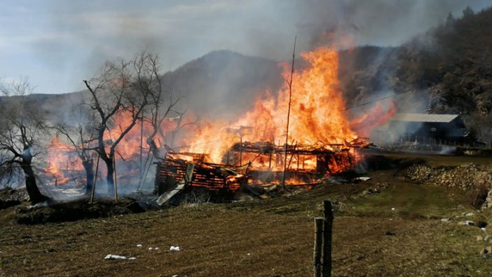 Artvin'de yangın! Ardı ardına yandı