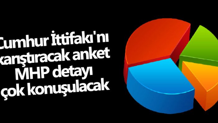 MetroPOLL Araştırma Şirketi'nden acil sorun anketi! MHP detayı çok konuşulacak