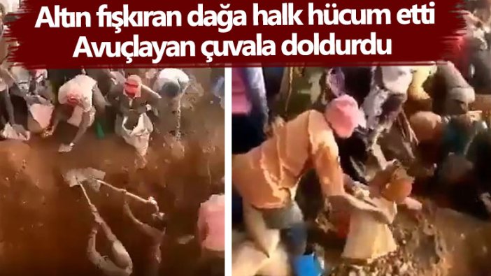 Altın fışkıran dağa halk hücum etti! Avuçlayan çuvala doldurdu