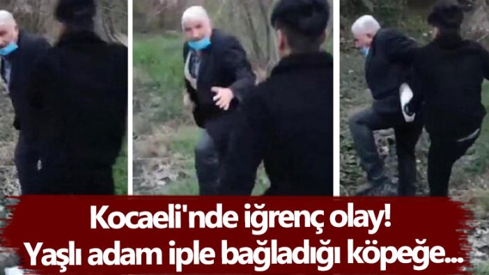 Kocaeli'nin Derince ilçesinde köpeğe cinsel istismarda bulunan adama meydan dayağı!