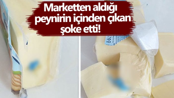 İzmit'te marketten aldığı peynirin içinden çıkan Ayşe Emer'i şoke etti