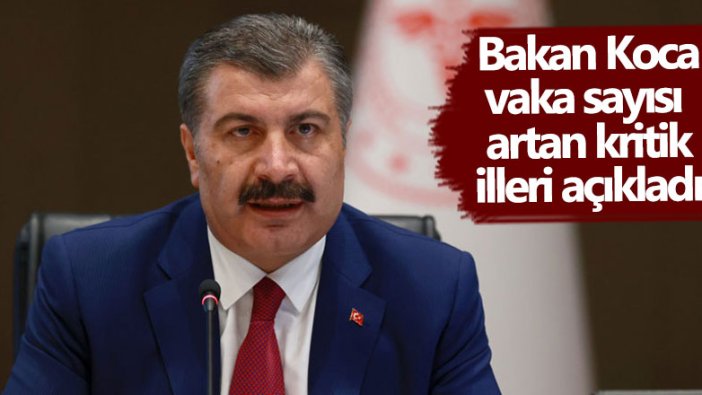 Sağlık Bakanı Fahrettin Koca vaka sayısı artan kritik illeri açıkladı