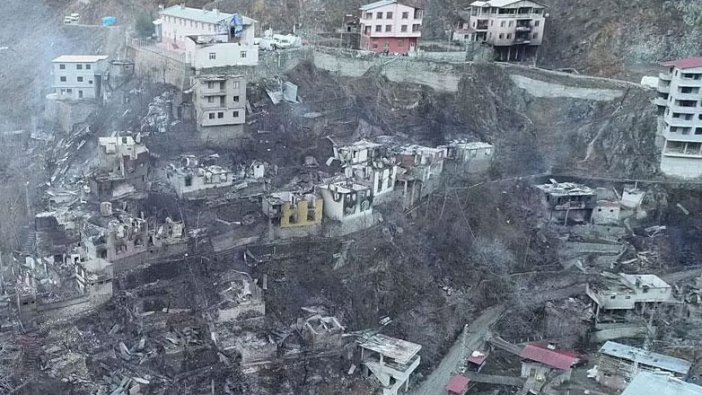 Artvin'in Yusufeli ilçesindeki yangın felaketinin boyutu gün ağarınca ortaya çıktı