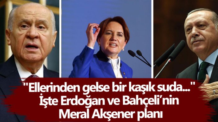 İşte Erdoğan ve Bahçeli’nin Meral Akşener planı