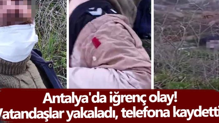 Antalya'da kimliği belirsiz  bir kişinin çalılık alanda köpeğe tecavüz ettiği iddia edildi