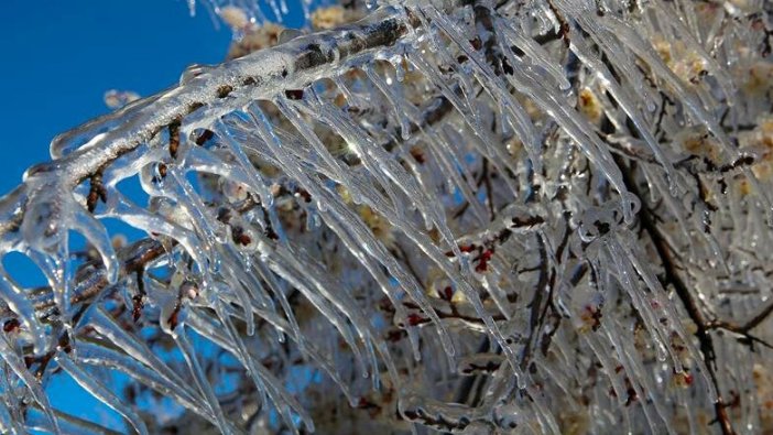 Meteoroloji'den 5 il için 'zirai don' uyarısı yapıldı