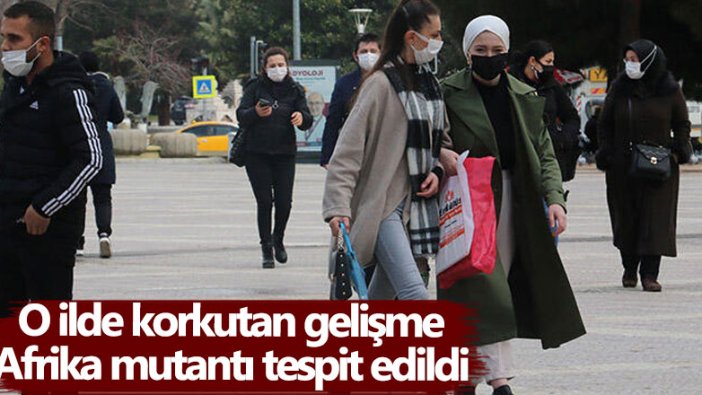 Samsun'da korkutan gelişme! Afrika mutantı tespit edildi