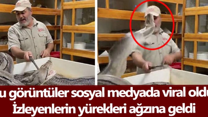 Bu görüntüler sosyal medyada viral oldu! İzleyenlerin yürekleri ağzına geldi