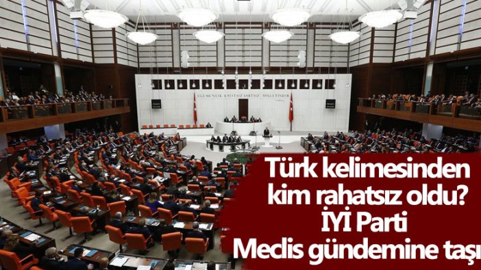 Türk kelimesinden kim rahatsız oldu? İYİ Parti Meclis gündemine taşıdı