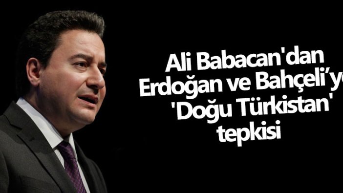 Ali Babacan'dan Erdoğan ve Bahçeli'ye tepki: Zulme karşı lâl oldunuz