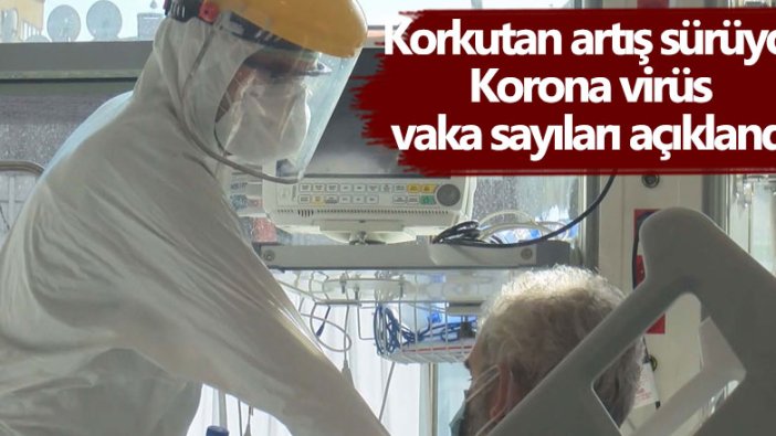 Korona virüs vaka sayıları açıklandı: 186 kişi hayatını kaybetti