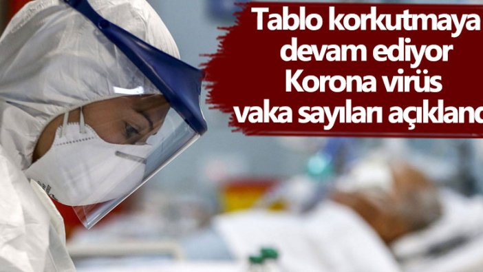 Korona virüs vaka sayıları açıklandı: 185 kişi hayatını kaybetti