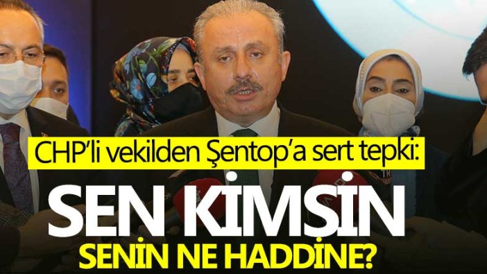 CHP’li vekilden Şentop’a sert tepki: Sen kimsin, senin haddin ne?