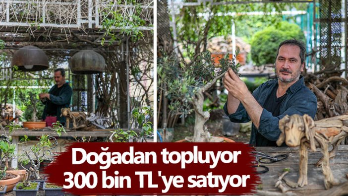 Adnan Ceylan, doğadan topluyor 300 bin TL'ye satıyor