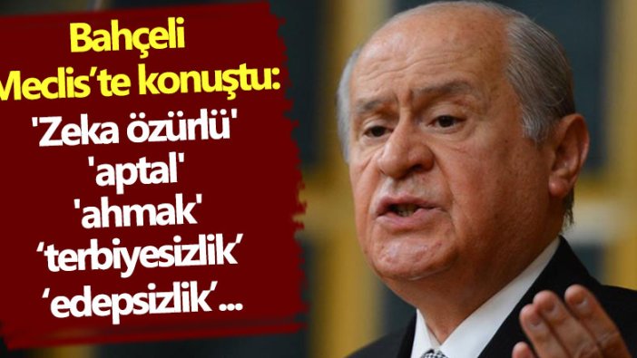 Bahçeli'den veciz sözler: 'Zeka özürlü', 'aptal', 'ahmak' ...