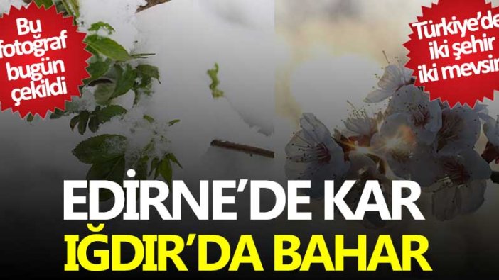 Edirne'de kar Iğdır'da bahar yaşanıyor! 